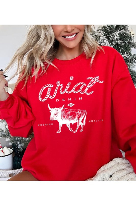 Ariat fleece sweater