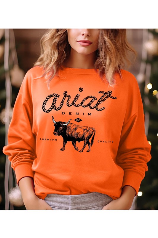 Ariat fleece sweater